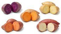 Assorted potato varieties isolated on white background showing cross sections of purple, orange, yellow and red potatoes for culinary and agricultural design use.