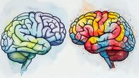 Two human brains showing contrast between logical analytical thinking and creative colorful imagination for psychology education materials.