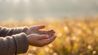Open hands reaching toward golden sunlight with warm bokeh background creating peaceful spiritual moment for meditation and gratitude concepts.