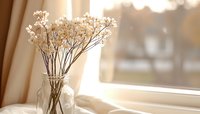 Delicate white baby's breath flowers in glass vase by window, soft morning sunlight creating dreamy atmosphere with beige curtains and blurred background.