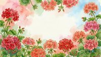 Watercolor geranium floral frame with red and pink blooms, green leaves, and soft pastel background, forming an elegant border with copy space.