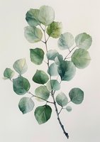 Delicate watercolor botanical illustration of eucalyptus branch with round green leaves in soft sage and mint tones, perfect for wedding stationery, home decor, and nature-inspired designs.