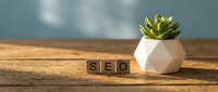 Small succulent plant in white geometric pot next to wooden letter blocks spelling SEO on rustic wood table with soft natural lighting for office decor.