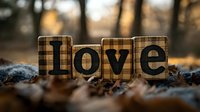 Wooden letters spelling "love" with plaid pattern texture placed on autumn ground with fallen leaves and soft bokeh background in warm sunset light.