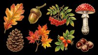 Autumn fall season isolated elements collection with oak leaf, acorn, pinecone, maple leaves, rowan berries, red mushroom, chestnuts on transparent background. Ready for t-shirt design, clipart, stickers, sublimation.