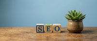 Wooden blocks spelling SEO on a rustic table with a small succulent plant against a blue background, symbolizing digital marketing strategy.