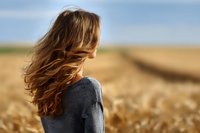 Young woman with flowing brown hair in gray sweater standing in golden wheat field against blue sky on sunny summer day, view from behind.