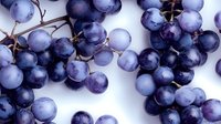 Fresh purple grapes with water drops on white background, close up view of ripe juicy fruit clusters showing natural texture and shine for food photography.