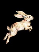 Watercolor jumping rabbit with brown and cream patches isolated on transparent background, ready for t-shirts, stickers, clipart, sublimation and print-on-demand designs.