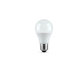 Modern LED light bulb with standard screw base isolated on white background for energy efficient lighting design and electrical concepts.