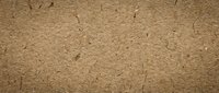 Cracked dry earth texture with natural fissures and weathered surface patterns for backgrounds and design projects.