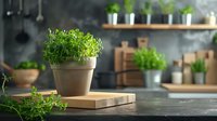 Fresh thyme growing in clay pot on wooden cutting board against modern kitchen counter with herbs and utensils in soft natural lighting.