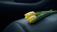 Yellow tulips lying on black leather car seat, soft natural lighting creates moody atmosphere with shallow depth of field and gentle shadows.