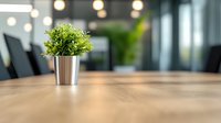 Small green plant in metallic pot on wooden office desk with blurred modern workspace background, natural light from windows creates cozy atmosphere.