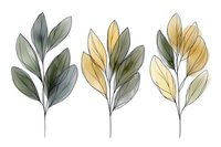 Watercolor botanical illustration of three translucent leaf branches in green and yellow tones, creating a delicate minimalist nature composition.