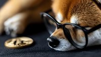 Sleeping Shiba Inu dog wearing glasses next to cryptocurrency bitcoin coin on dark background, selective focus on nose and glasses.