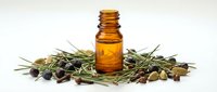 Amber glass essential oil bottle with fresh rosemary sprigs and scattered herbs on white background for aromatherapy and natural wellness products.