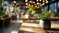 Small green plant in ceramic pot on wooden table with blurred cozy cafe interior and bokeh lights in background.