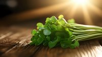 Fresh green parsley bunch on rustic wooden surface with warm sunlight rays creating atmospheric mood, macro food photography for cooking blogs.