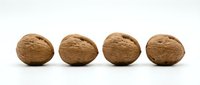Four whole walnuts in shells arranged in a row on white background, isolated and ready for food, nutrition, and healthy eating design projects.
