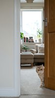 Curious tabby kitten peeking around wooden door into bright modern living room with beige sofa and houseplants creating cozy home atmosphere.