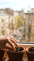 Woman hands gently touching green seedlings in terracotta pots on sunny windowsill with blurred urban cityscape background for gardening concept.