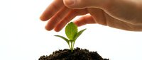 Hand protecting young seedling sprouting from soil, symbolizing growth, nurturing, and environmental care for sustainable development and eco-friendly business concepts.