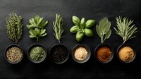 Fresh aromatic herbs and colorful spices arranged in bowls on dark slate background, culinary ingredients for cooking.