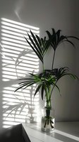Green palm leaves in clear glass vase with dramatic window blind shadows on white wall, minimalist home interior design with natural sunlight.