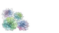 Watercolor succulent plants in pastel colors isolated on white background for botanical design projects and decorative elements.