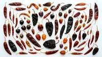 Assorted dried chili peppers and hot peppers arranged flat lay on white background, including red, black, and orange varieties for cooking, spice blends, and culinary design projects.