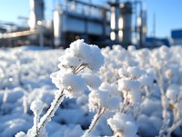 Delicate winter scene with frost-covered plant stems against industrial background, creating contrast between nature and urban environment in cold weather conditions.