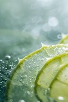 Fresh lime slices with water drops on dark background, macro shot with selective focus and bokeh effect, refreshing citrus fruit composition.