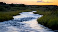Winding river flowing through lush marshland at golden hour, reflecting warm sunset sky. Serene wetland landscape for nature, travel, and environmental design projects.