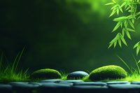 Zen stones covered with green moss in dark water with bamboo leaves, creating peaceful spa atmosphere against emerald background. Wellness concept.