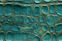 Turquoise crocodile leather texture with natural scales pattern and gold highlights showing luxurious exotic skin surface detail for fashion design background.