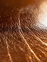 Metallic copper surface with intricate wrinkled texture and light reflections creating abstract patterns. Macro photography reveals detailed natural formations.