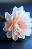 Delicate peach-colored dahlia flower with layered petals in soft focus against dark blue background, creating dreamy romantic mood for wedding designs.