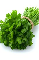 Fresh bunch of green parsley tied with twine on white background, bright vibrant leaves isolated for culinary and food photography use.