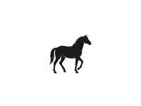 Black horse silhouette isolated on white background for logo design, equestrian branding, ranch marketing materials and western themed projects.