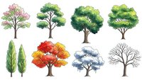 Watercolor tree collection featuring seasonal varieties with spring blossoms, summer foliage, autumn colors and winter branches on white background.