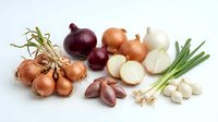 Fresh organic onion varieties including red, white, yellow bulbs with green scallions, shallots and garlic cloves arranged on white background for cooking.