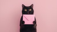 Black cat holding pink envelope against pastel pink background. Funny pet mail delivery concept for greeting cards, invitations, and valentine designs.