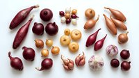 Assorted onion varieties including red, yellow, white and shallots arranged on white background. Fresh organic bulbs for cooking and culinary use.