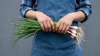 Fresh green onions with purple roots held by person wearing denim apron and plaid shirt, isolated on gray background, suitable for cooking, gardening, and food styling projects.