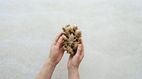 Caucasian hands holding dried ginger root against neutral background, suitable for culinary, wellness, and organic product marketing materials.