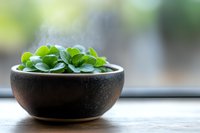 Fresh green succulent plant in dark ceramic bowl on wooden surface against blurred window background, creating minimalist zen atmosphere.