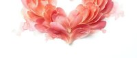 Soft pink and coral watercolor heart shape with flowing petals on white background, romantic love symbol for wedding invitations and Valentine's Day designs.