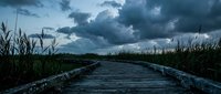 Wooden boardwalk path through wetland marsh under dramatic stormy sky with dark clouds. Moody landscape for nature and environmental themes.