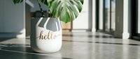 White ceramic pot with gold hello lettering and monstera leaf on concrete surface in bright modern interior.